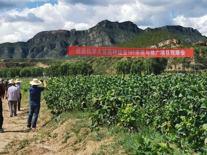 晋中市昔阳县成功举办农业科技成果转化现场观摩会
